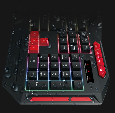 תמונה ללא תיאור