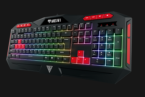 תמונה ללא תיאור