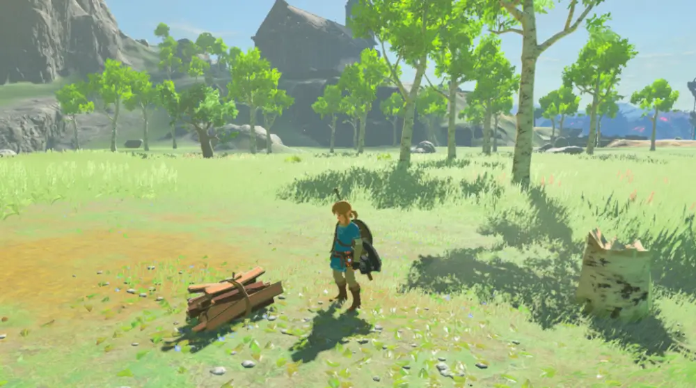The Legend Of Zelda Breath Of The Wild זלדה ביער מסביבה עצים ודשא