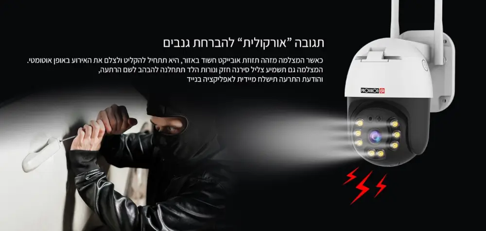 תגובה 