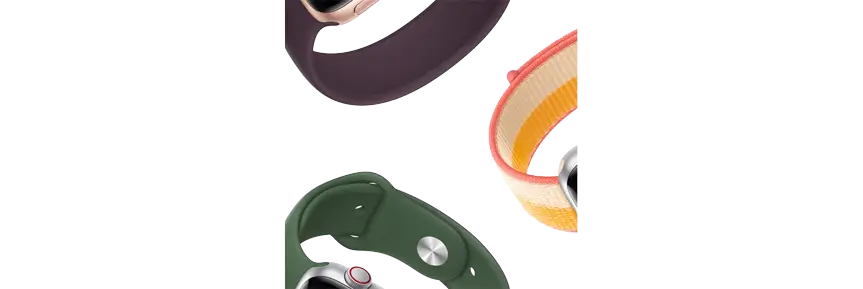 מגוון רצועות