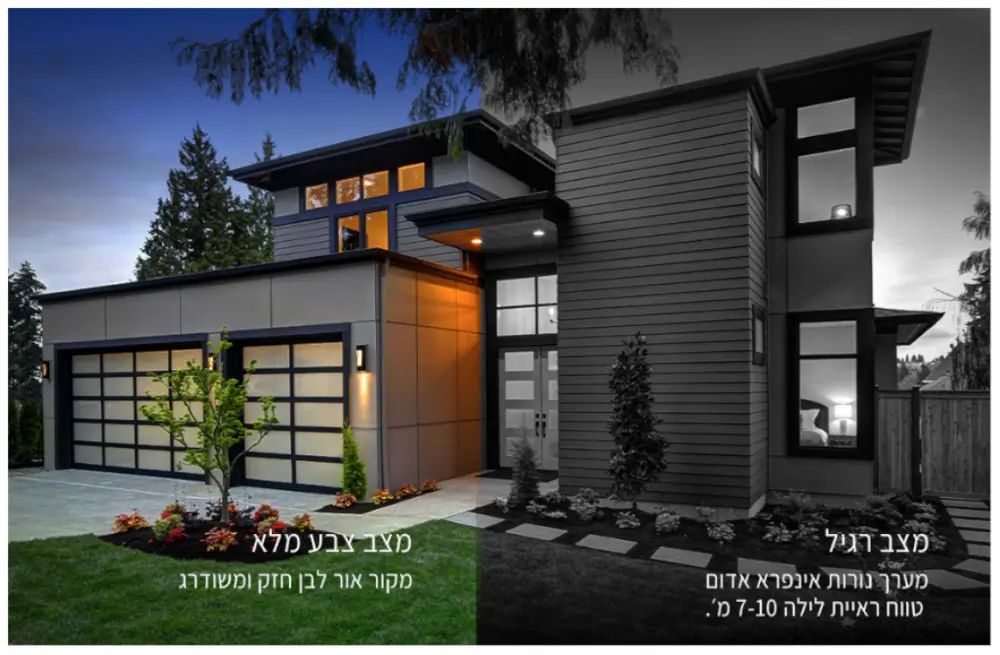 ראיית לילה צבעונית