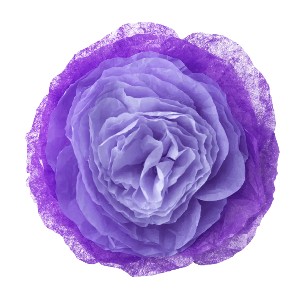 תוצאות מדהימות