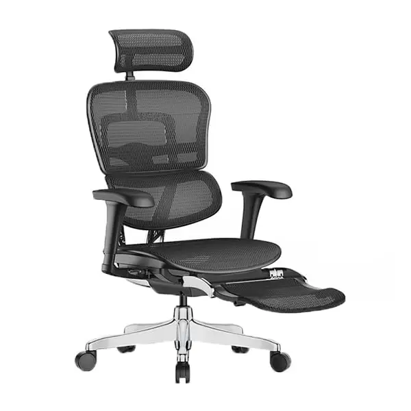 Ergohuman Pro