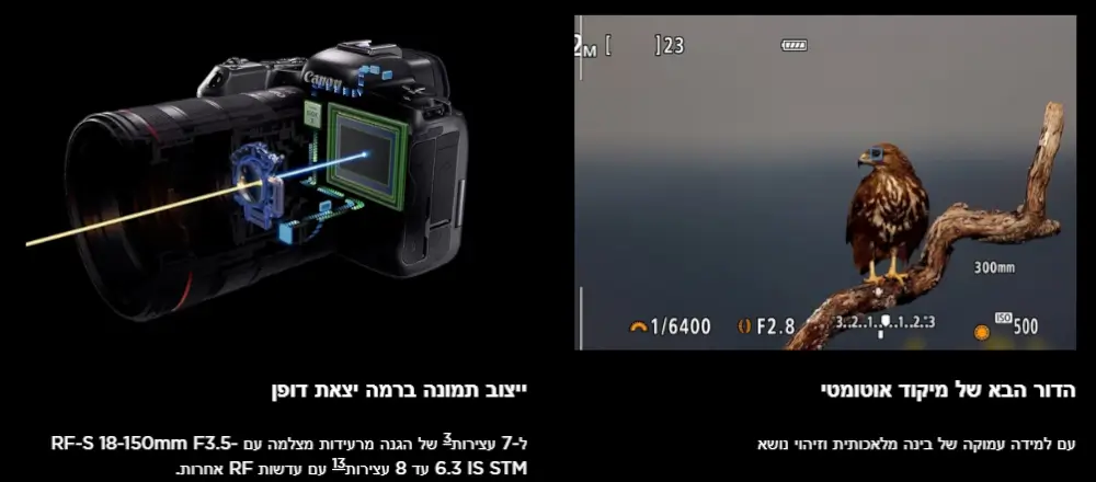 מבט חטוף על EOS R7
