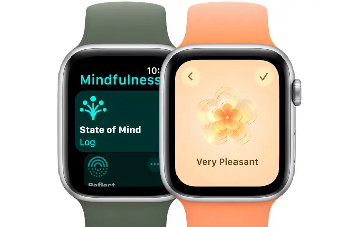 apple watch מעקב אחרי המצב הנפשי