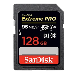 Sandisk באג