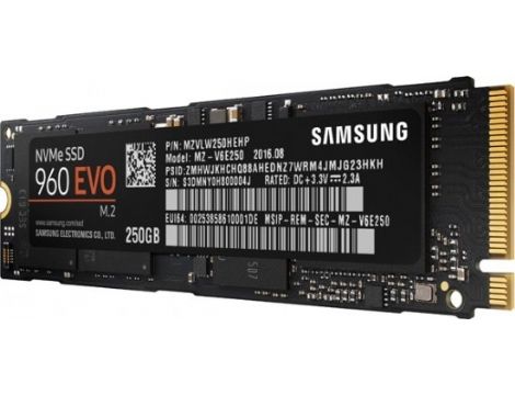 כונן קשיח  960 EVO M.2 MZ-V6E250BW   Samsung