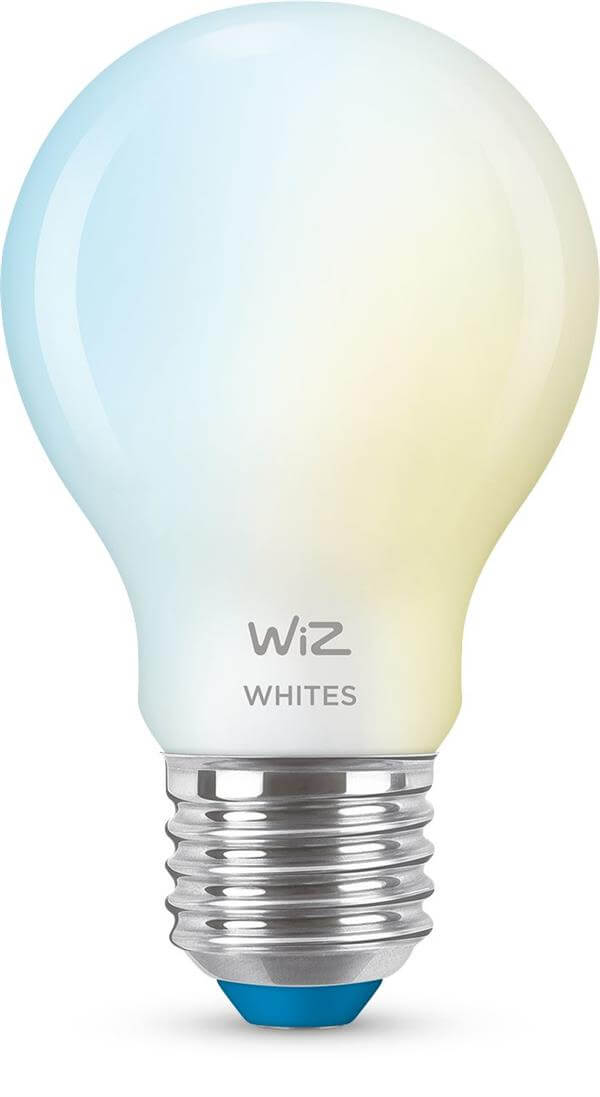 נורה חכמה A60 E27 Matte Wiz