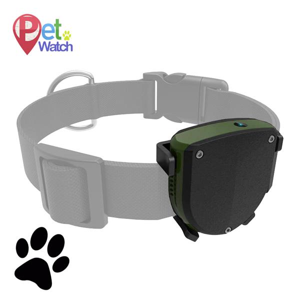 קולר GPS לבעלי חיים  עם סים מובנה Pets Kidiwatch