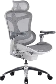 כסא מנהלים Doro C300 Pro SIHOO