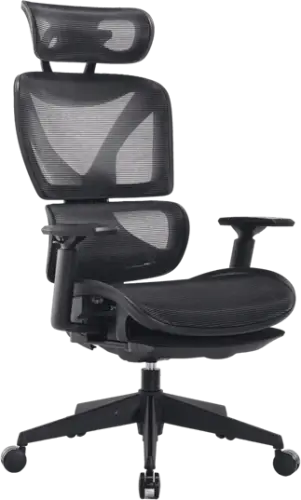 כיסא מנהלים ארגונומי MWMS200 Miracase