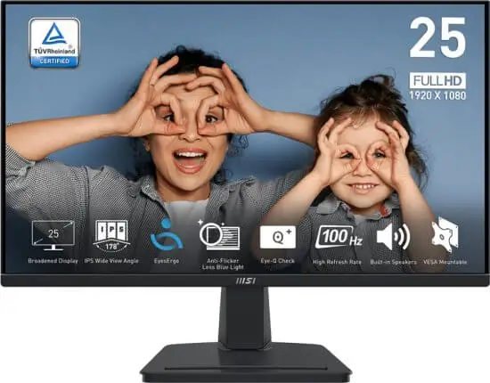 מסך מחשב עסקי "25 PRO MP251 MSI