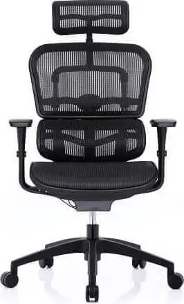 כיסא משרד ארגונומי Ergohuman Project COMFORT