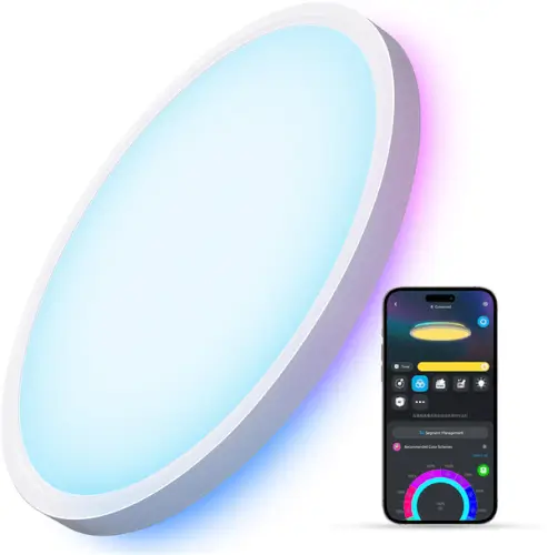 מנורת תקרה חכמה עגולה 12inch RGBWW + RGBIC Round Govee