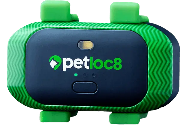 קולר GPS לבעלי חיים petloc8 mini petloc8