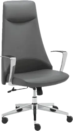 כיסא מנהלים ארגונומי MB-323E Miracase