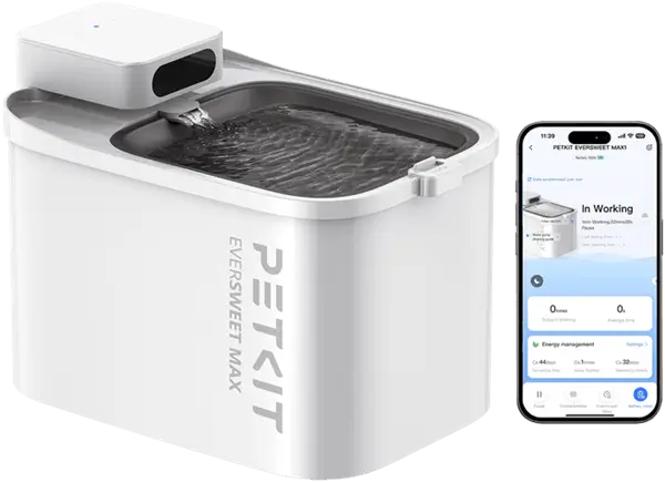 מתקן שתייה חכם לחיית מחמד Eversweet Max (UVC) PETKIT